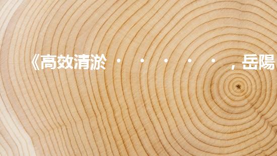 《高效清淤，岳陽河道清淤單價(jià)實(shí)惠且優(yōu)質(zhì)》